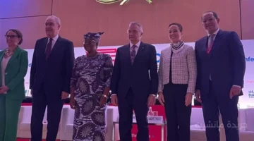 وزير المالية مصر تدعم جهود دفع مسار «التمويل من أجل التنمية» ومقترحات خفض تكاليف التمويل 1